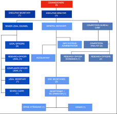 Oas Spa Guide Of Strategies And Mechanisms For