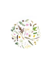 Cute white background 5 » background check all. 100 000 Best White Background Photos 100 Free Download Pexels Stock Photos