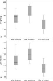 Weight And Volume Changes In Embalmed And Dehydrated Kidneys