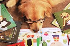 Tales for Tails (Shelby)