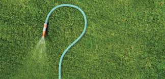 Winter is often thought to be the time when your lawn rests after having grown all spring, summer, and fall long. Should You Water Your Lawn In Winter Lawn Solutions Australia