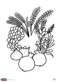 Tu B Shvat Challah Crumbs Jewish Crafts Jewish Art Shavuot Crafts