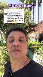 Respondendo a @Ederson Silva de Oli Excesso de ansiedade e de confiança  traz grandes problemas e um deles é perdermos um belíssimo material para  Bonsai. Aprender a cultivar bonsai e conhecer a ...