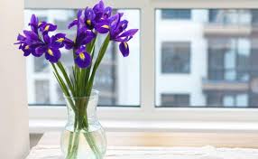 What Flower Type Represents Hope And Strength