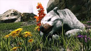 Communaute Steam Ark Survival Evolved Game Ark Survival Evolved Ark Survival Evolved Ark