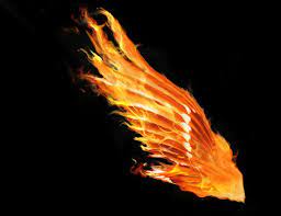 505 Pheonix Wing By Tigers Stock On Deviantart Phoenix Wings Phoenix Wings Tattoo Wings Drawing