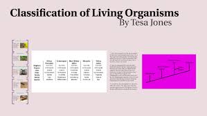 Classification Of Living Organisms By Tesa Jones On Prezi