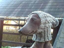 Pom Pom Dog Hat Greyhound Hat Italian Greyhound Hat Etsy Snood Dog Dog Hat Pom Dog
