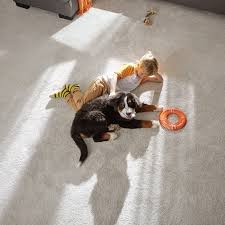 Flooring installation at the home depot. Flooring Installation At The Home Depot