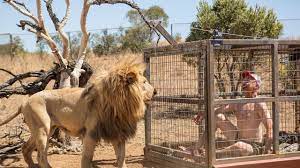 Nov 08, 2019 · tremor is an involuntary, rhythmic muscle contraction leading to shaking movements in one or more parts of the body. Watch Tremors 5 Bloodlines Online 1 Soap2day Com