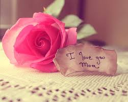 Maybe you would like to learn more about one of these? Hd Wallpaper Pink Rose Flower Message Love Mom Rose Flower Romance Wallpaper Flare