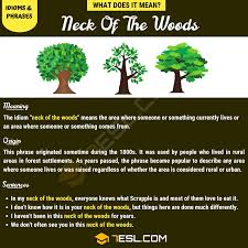 Neck Of The Woods What Is The Meaning Of This Popular Idiom 7 E S L Idioms Idioms And Phrases Meant To Be
