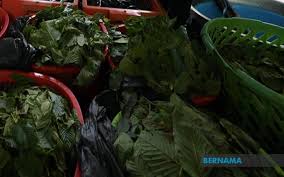 We did not find results for: Polis Marin Tahan Dua Lelaki Rampas 100kg Daun Ketum Dadah