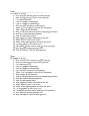 Have your say about what you just read! 93 Fermentation Worksheet Answers Promotiontablecovers