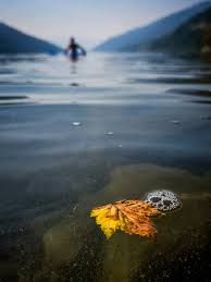 Sarah Mickel Photography (@sarahmickelphotography) • Threads, Say more