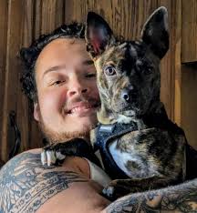 Boston Terrier Photography