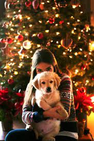 Despite the usual headache surrounding the thought of. Have Yourself A Merry Little Christmas Dog Christmas Pictures Christmas Photoshoot Christmas Photography