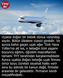 Bilgi Sera Zhuzhu Gizli Bilgi Bilgi Karti Egitim