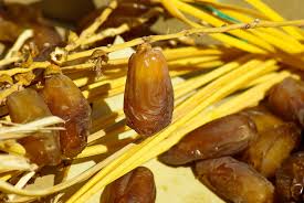 The month of ramadhan starts tomorrow which means muslims will fast from dawn to dusk for a whole month until syawal when they celebrate hari raya aidilfitri. Suka Konsumsi Buah Kurma Ketahui 5 Manfaat Sehatnya Jpnn Com