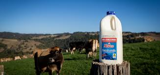 Not all milks are created equal. Norco Media Release Norco Announces 5 Cent Milk Price Increase