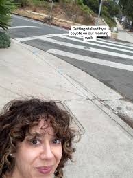 Coyote Stalking Incident During Morning Walk