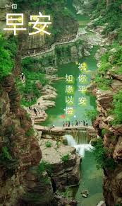 pin by jasmine lee on 早午晚安 good morning flowers morning flowers good morning greetings