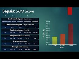 Image result for pSOFA Score