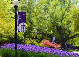 Student Jobs at Furman University | Furman Admissions Blog %
