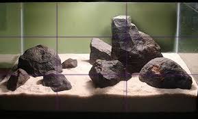 Rule Of Thirds Aquarium Aquascape Tailsnteeth Fish Tank Aquascape Design Aquarium Fish Tank