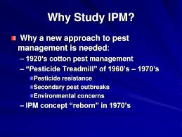 Shelton admitted that some critics go so far as to say that ipm really stands for integrated pesticide management. shelton noted that the debate around pesticides is often more nuanced than. What Is Integrated Pest Management Ipm Ppt Download