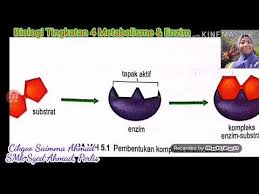 Buku teks biologi kssm tingkatan 4 bab 1 bab 7 pages 1 50 text version anyflip. E Bukuteks Biologi Tingkatan 4 Kssm Bab 5 Metabolisme Enzim Part 1 Youtube