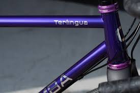 Custom Colors For Chumba Sendero Mtb