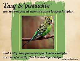 However, there are several ways to start with the main tools you will need to use persuasive public speaking. Easy Persuasive Speech Topics 90 Examples