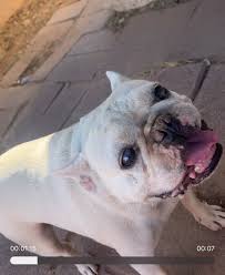 Anyone know the whereabouts of Stephen charlesworth known at school as  Charlie left Broadway in 1977