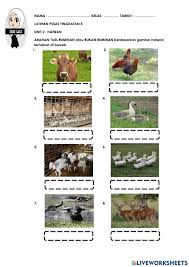 Haiwan ternakan png cliparts for free download, you can download all of these haiwan ternakan transparent png clip art images for free. Latihan Pssas Pkhas Tingkatan 4 Worksheet