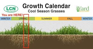 How much fertilizer should be applied to the lawn? Late April Lawn Care Tips For Cool Season Lawns