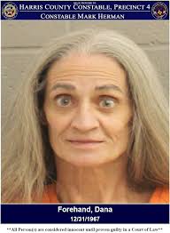 ROARK, DANIELLE JEAN Charges: HOLD FOR SEVIER COUNTY-FTA-THEFT THEFT OF  MERCHANDISE