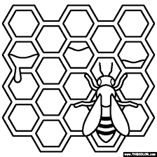 Print comb coloring page (color). Newest Coloring Pages