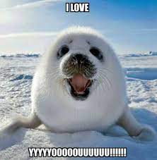 Over 40 Funny I Love You Memes Thrifty Nifty Mommy