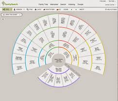 The Different Views In Familysearch Family Tree