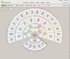 the different views in familysearch family tree