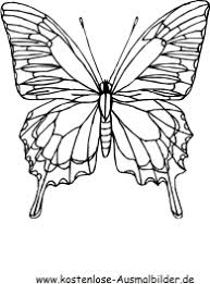 Der prozess der metamorphose des schmetterlings über mehrere stufen der phase. Ausmalbild Schmetterling Bunt Zum Ausdrucken
