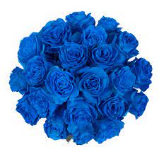 The cost for xarelto oral tablet 10 mg is around $446 for a supply of 30 tablets, depending on the pharmacy you visit. Tinted Blue Roses 50 Cm Fresh Cut 50 Stems Walmart Com Walmart Com