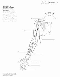 Download Netters Anatomy Coloring Book Fresh Netter Anatomy Coloring Book Pdf Download Anatomy Coloring Book Coloring Books Words Coloring Book