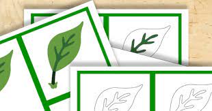 We have over 130 free downloads available. Free Montessori Printable Parts Of A Leaf Trillium Montessori