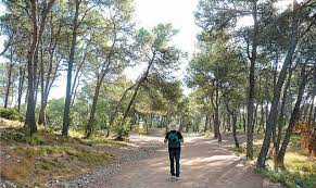 balade saint sauveur a l ombre du bois