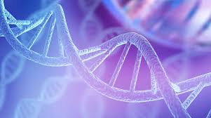 Continued approval for aduhelm's indication as a treatment for alzheimer's disease may be contingent upon verification of clinical benefit in confirmatory trial(s). Fda Grants Accelerated Approval For Aduhelm As The First And Only Alzheimer S Disease Treatment To Address A Defining Pathology Of The Disease Biogen