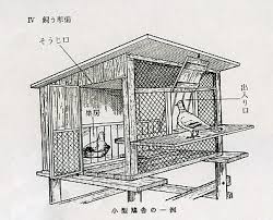 Pigeonet