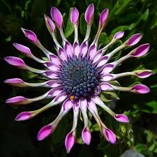 Pin On Mother Nature Is The B E St Artist