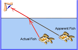 Refraction Fishing Teaching English Education Teaching